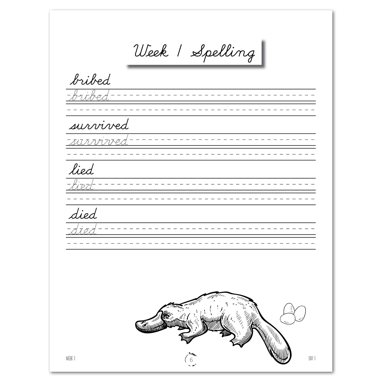 Australia + Oceania Homeschool Study Unit Printed Cursive Book Week 1 Spelling