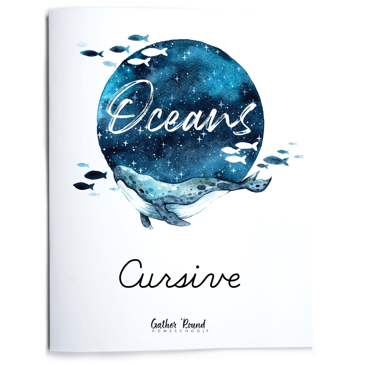 Oceans homeschool unit study print student workbook cursive