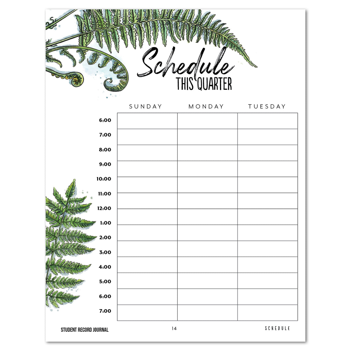 Quarterly schedule planner with fern designs on a white background.