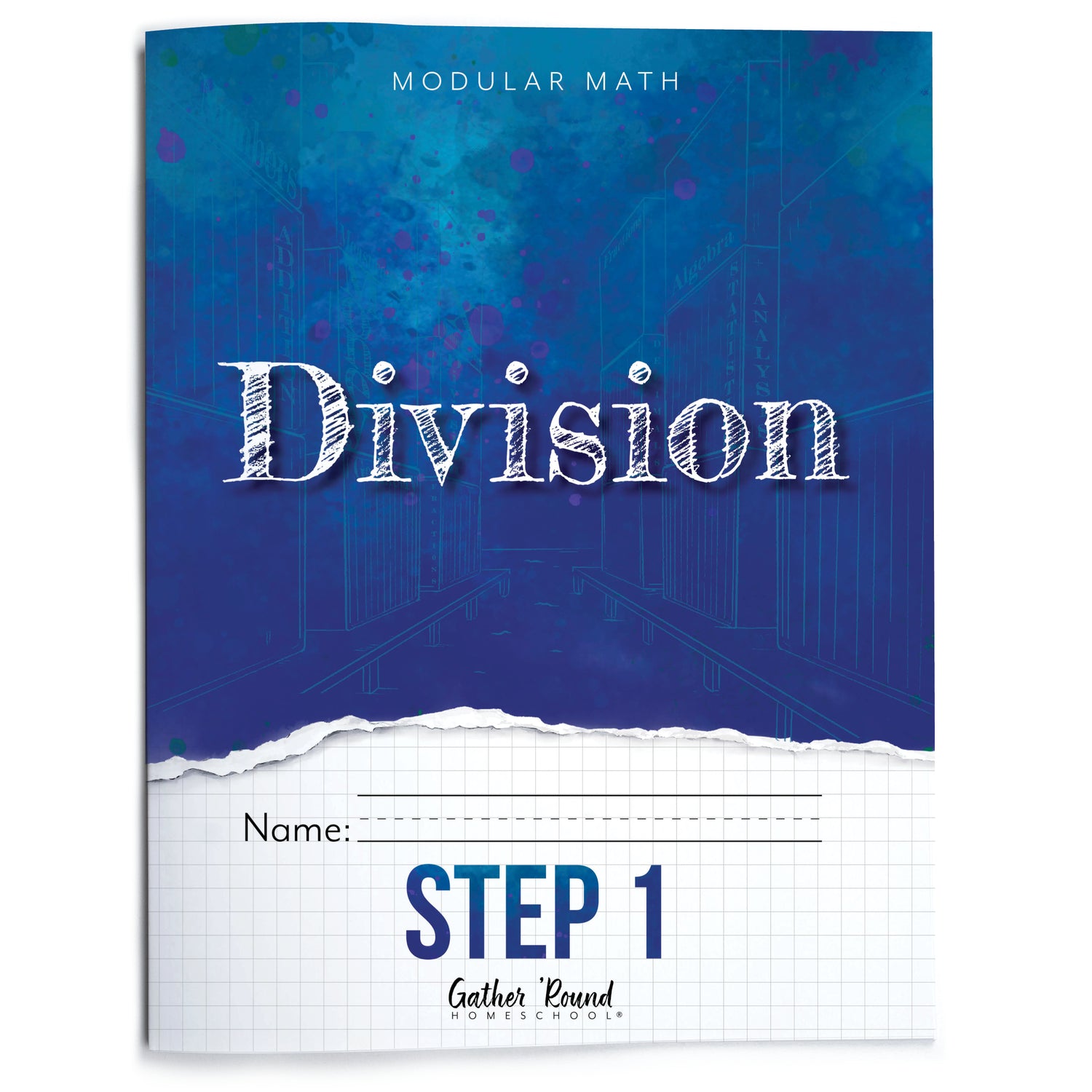 Modular Math: Division (Printed Books)