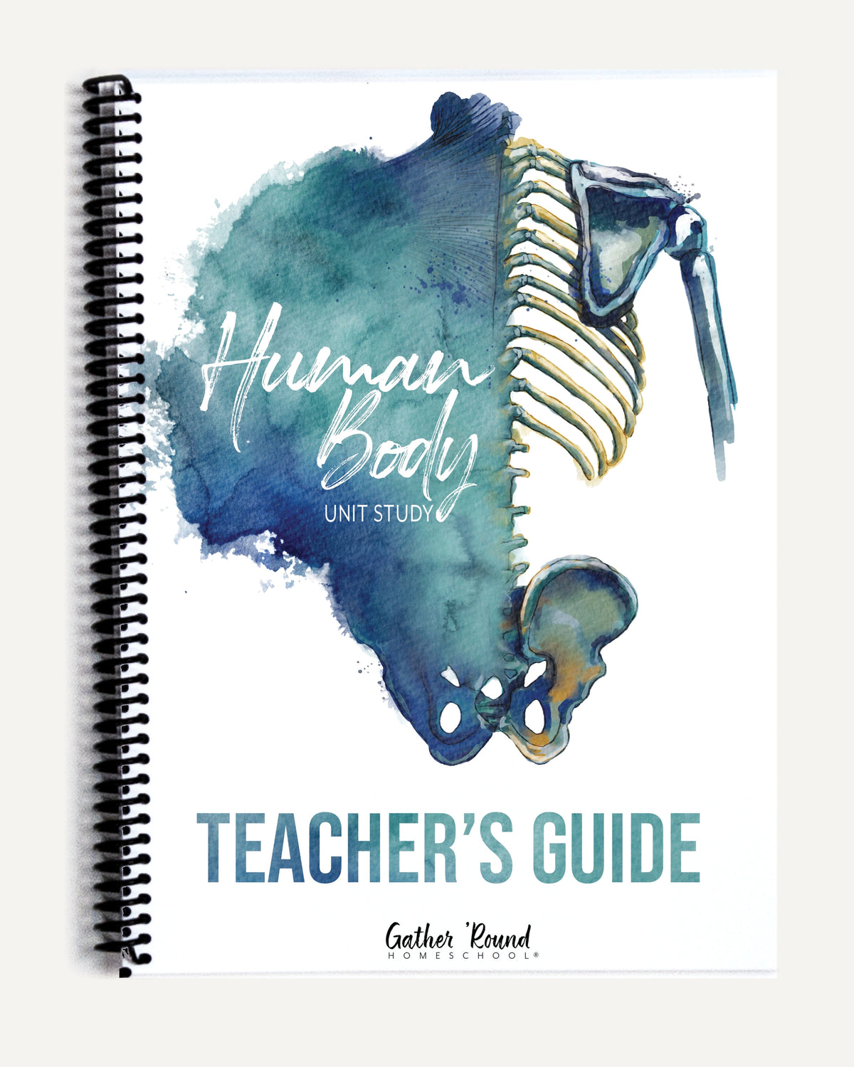 Human Body homeschool unit study printed teacher's guide