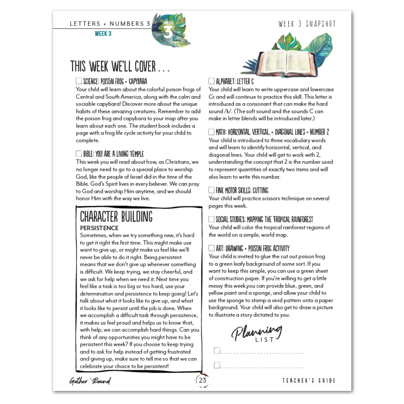 Letters + Numbers 3 In The Jungle Printed Teacher's Guide Week 3 Snapshot