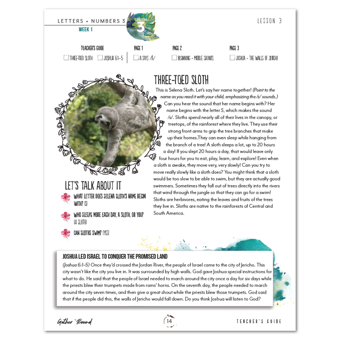 Letters + Numbers 3 In The Jungle Digital Teacher's Guide Week 1 Lesson 3 Three-Toes-Sloth
