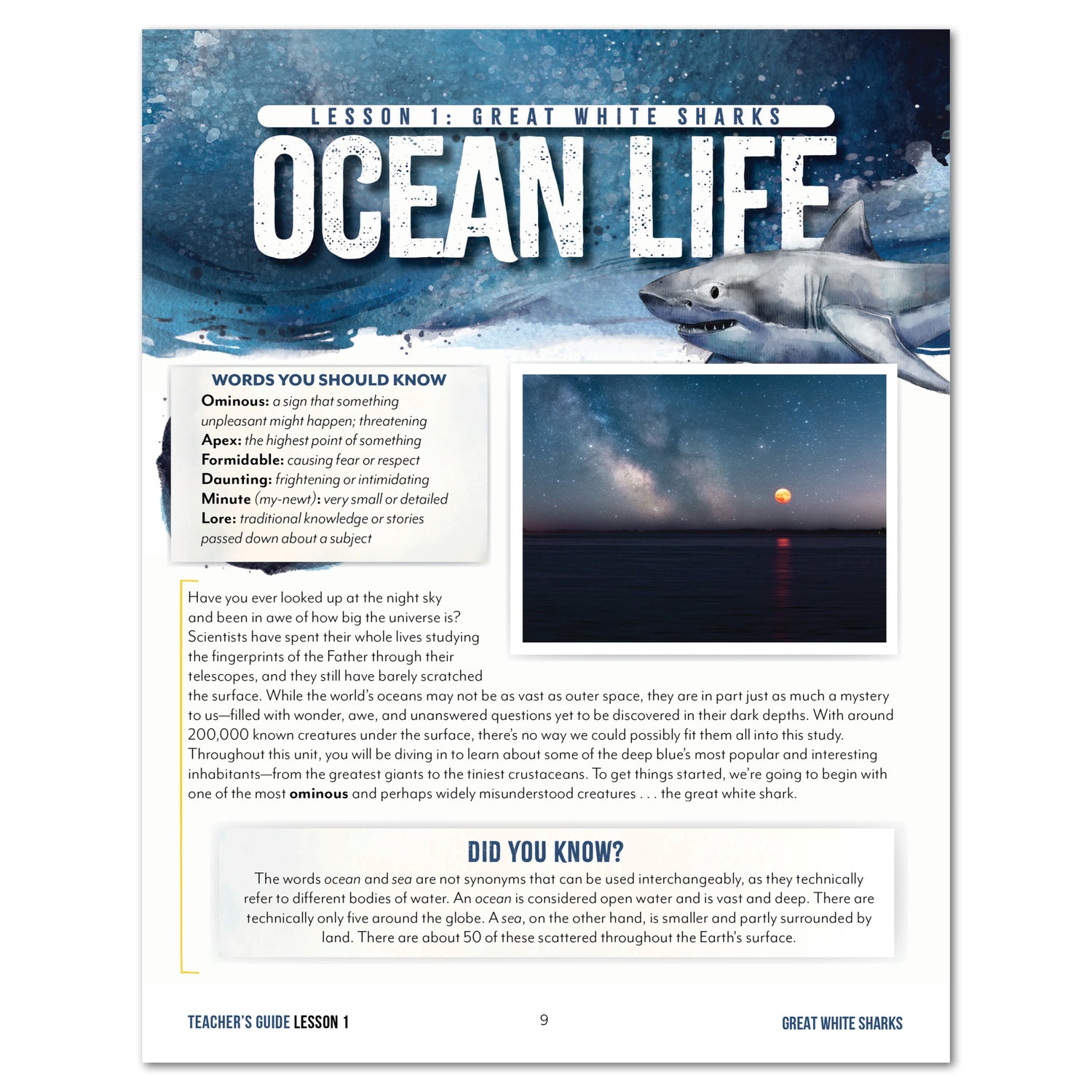 Ocean Life homeschool unit study digital teacher guide lesson one Great White Sharks