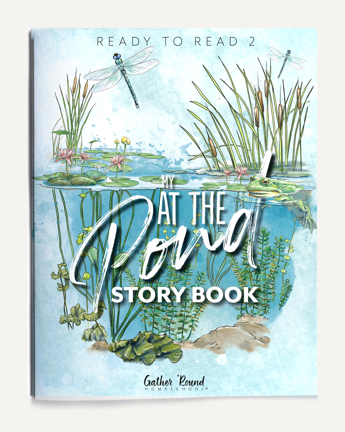 Ready to Read 2 At The Pond Homeschool Unit Study Printed Story Book