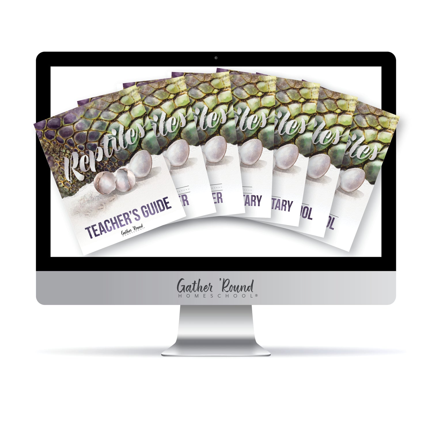 Reptiles homeschool unit study digital student workbook in all levels and Teacher's Guide bundle