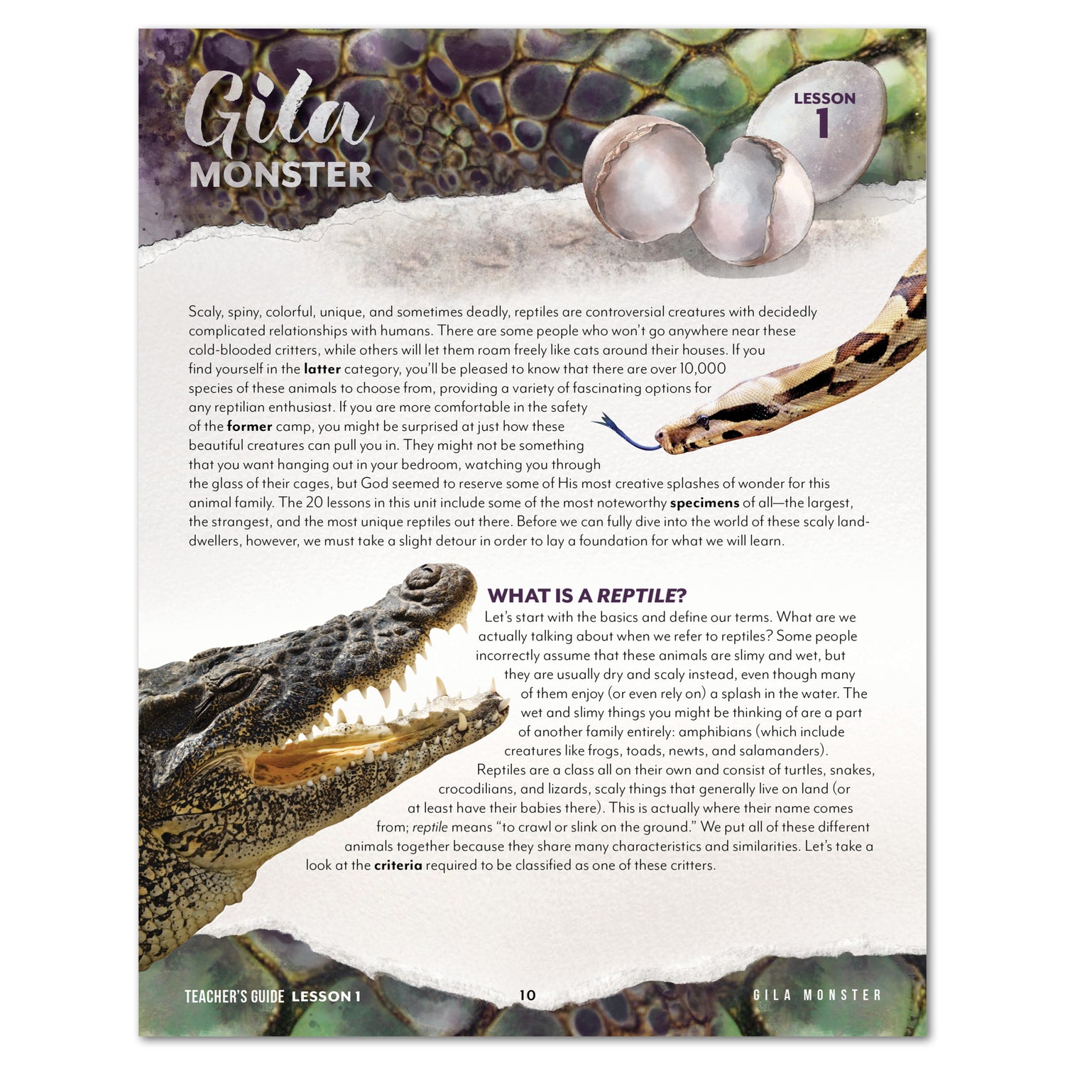 Reptiles homeschool unit study printed teacher's guide Gila monster
