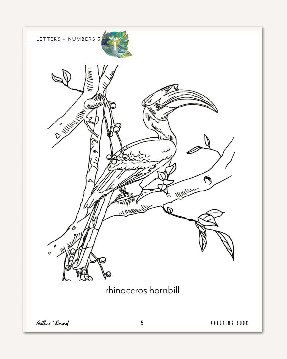 Letters + Numbers 3 In The Jungle Printed Coloring Book Week 1 Rhinoceros Hornbill