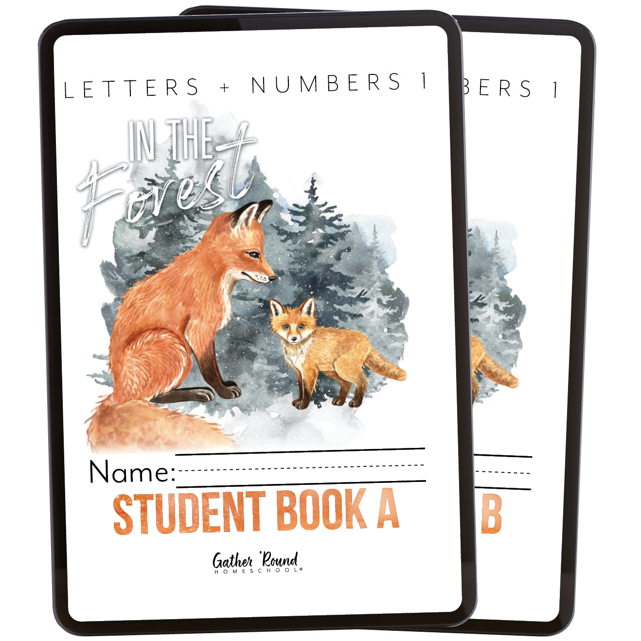Letters + Numbers 1 In The Forest Homeschool Unit Study Digital Bundle Student Book A and Student Book B