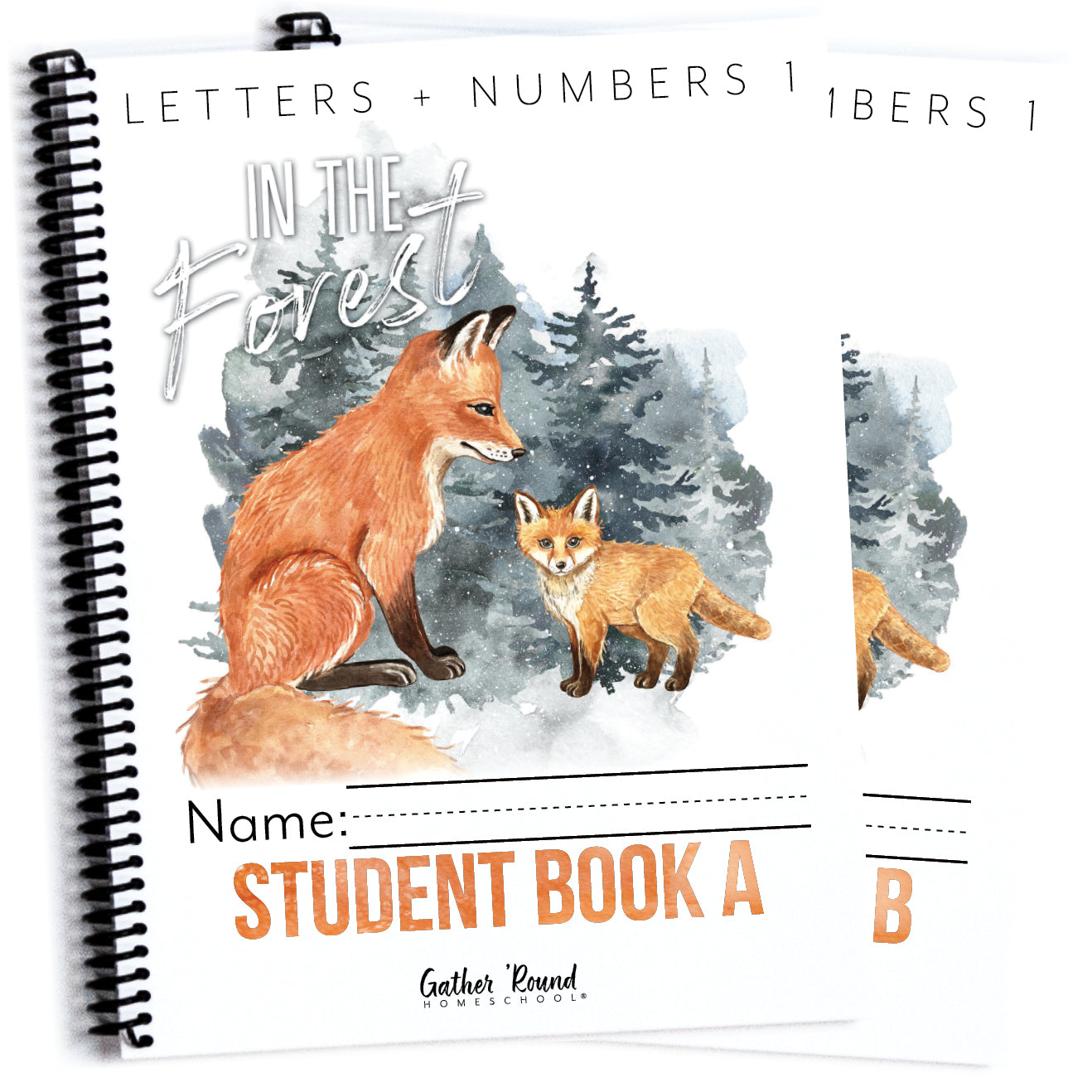 Letters + Numbers 1 Homeschool Unit Study Printed Bundle In The Forest Student Book A and B