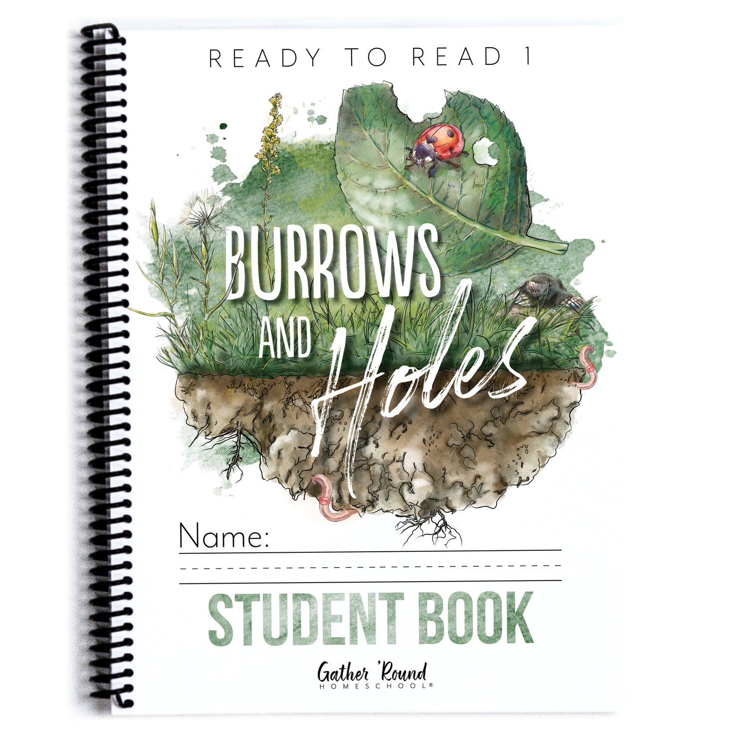 Ready to Read 1 (Printed Books)