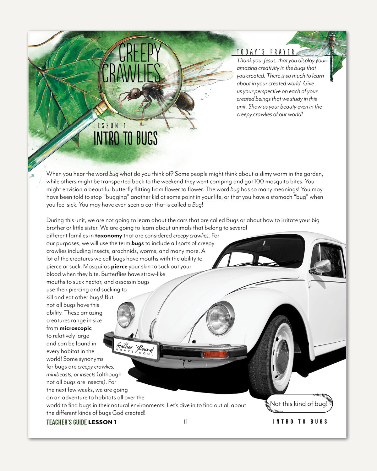 Creepy Crawlies Homeschool Unit Study Digital Teacher's Guide Lesson 1 Intro to Bugs Part 1