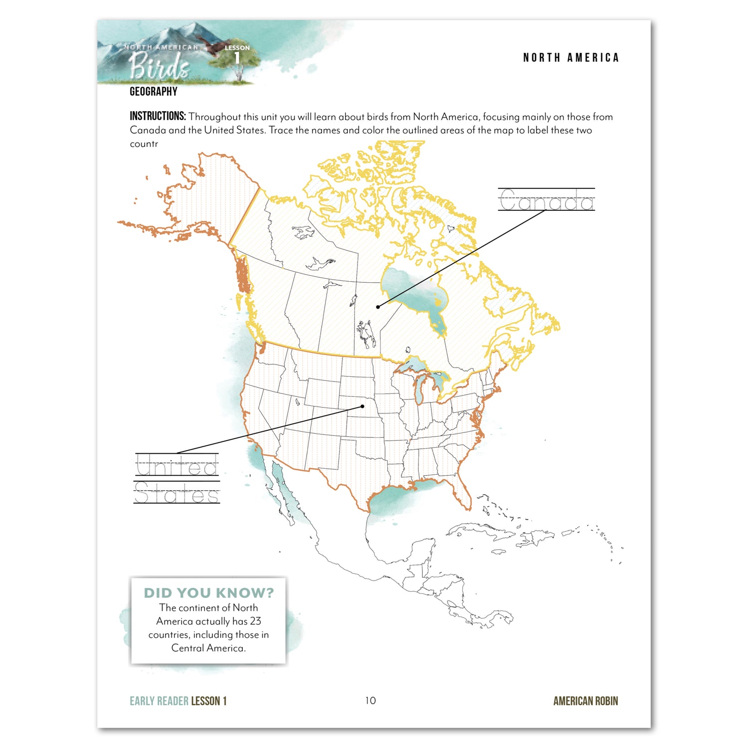 North American Birds part two homeschool unit study printed student workbook early reader lesson one