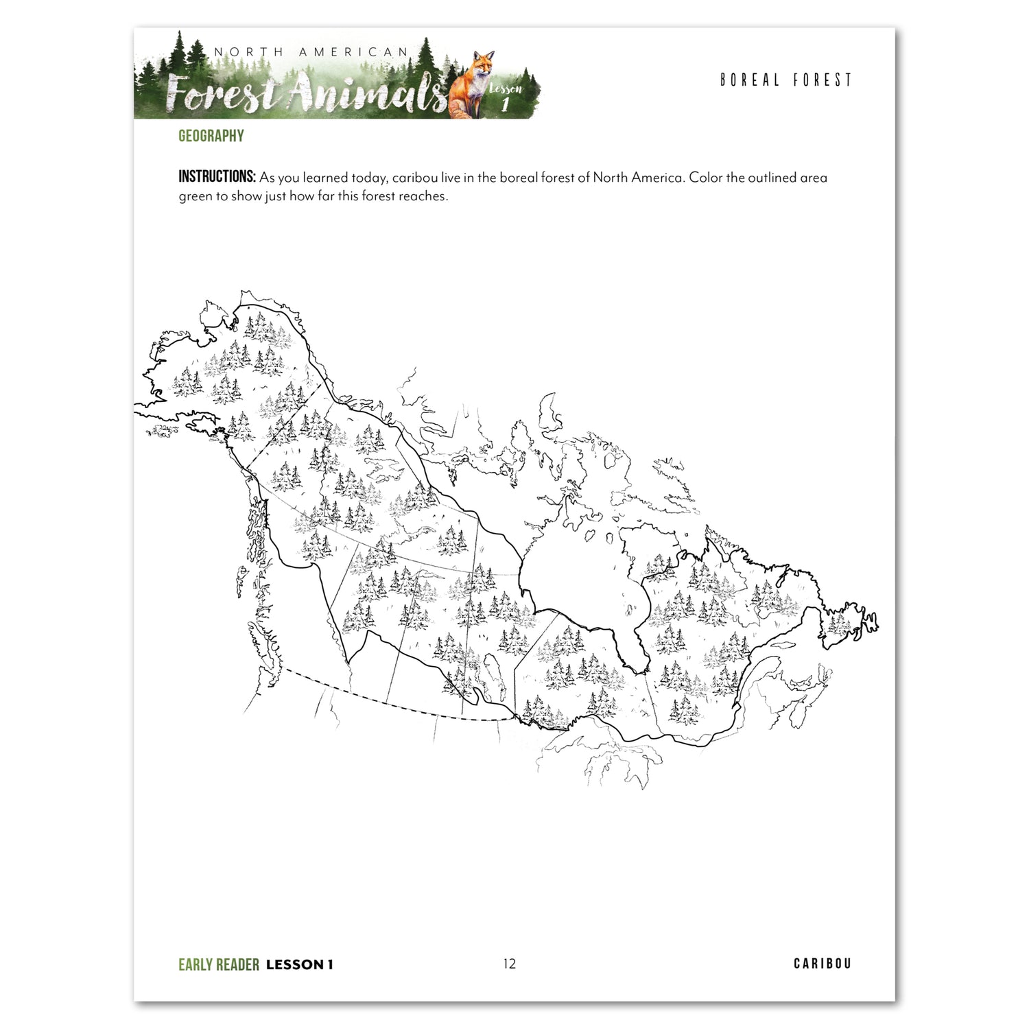 North American Forest Animals homeschool unit study print student workbook early reader lesson one