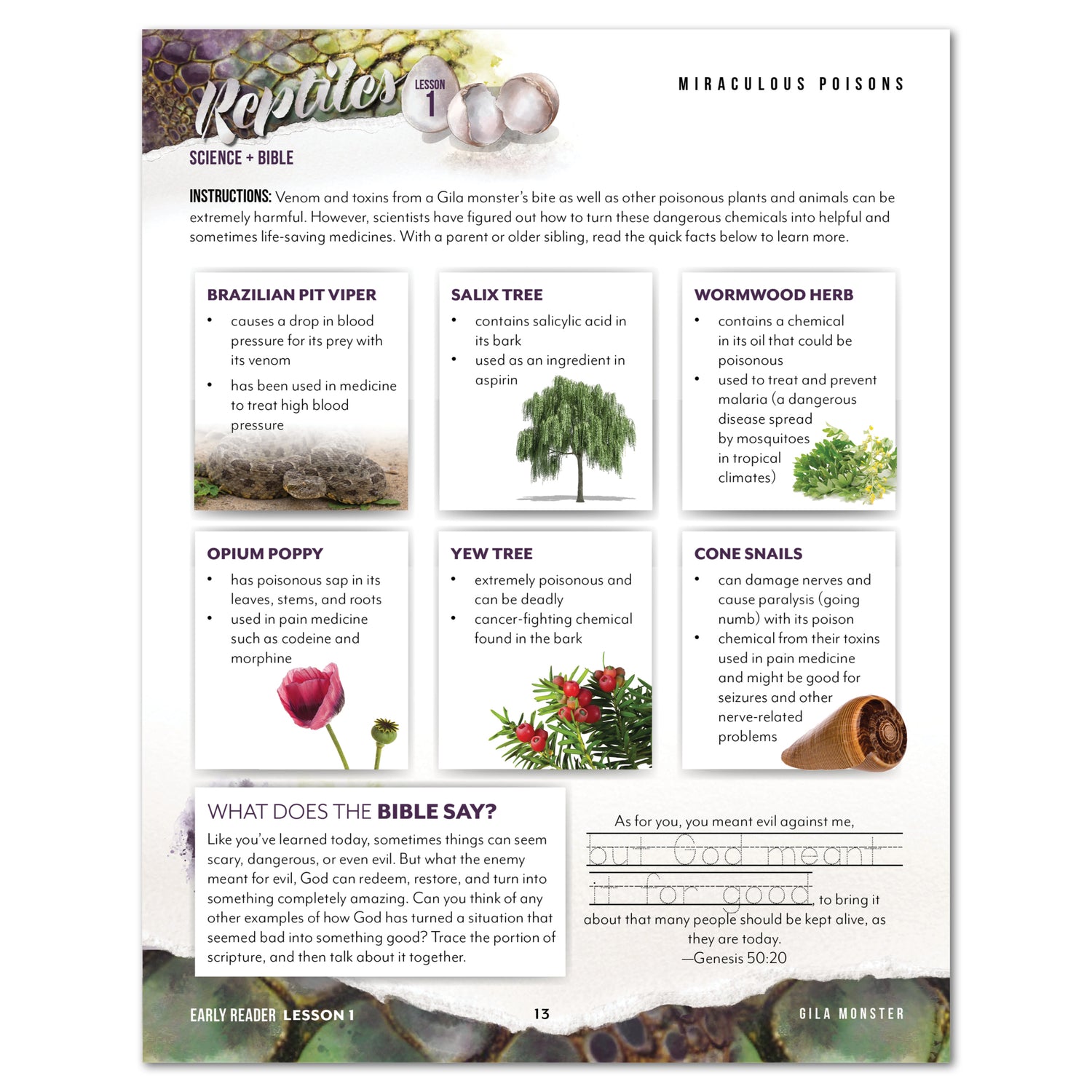 Reptiles homeschool unit study digital student workbook Early Reader and Teacher's Guide bundle miraculous poison