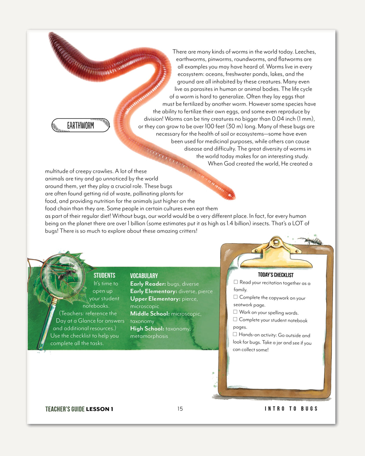 Creepy Crawlies Homeschool Unit Study Digital Teacher's Guide Lesson 1 Intro to Bugs Part 2