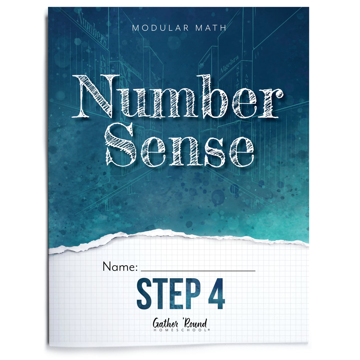 Number Sense Modular Math Step 4 printed book