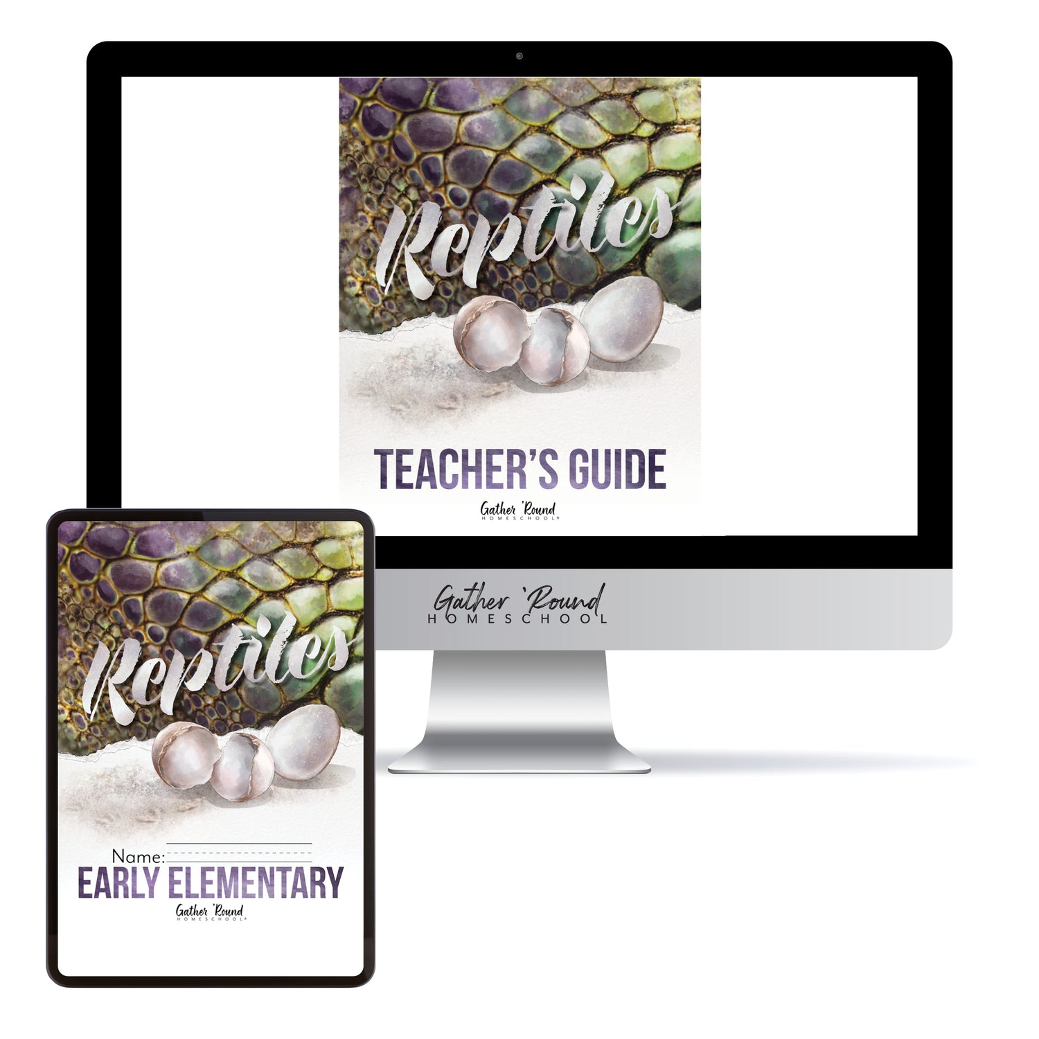Reptiles homeschool unit study digital student workbook Early Elementary and Teacher's Guide bundle