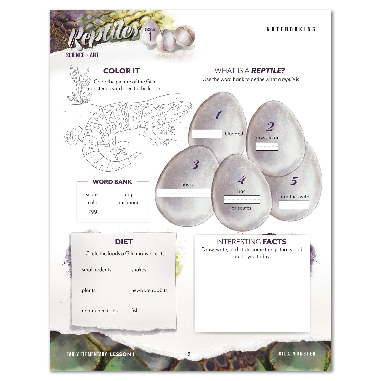 Reptiles homeschool unit study digital student workbook Early Elementary and Teacher's Guide bundle notebooking worksheet