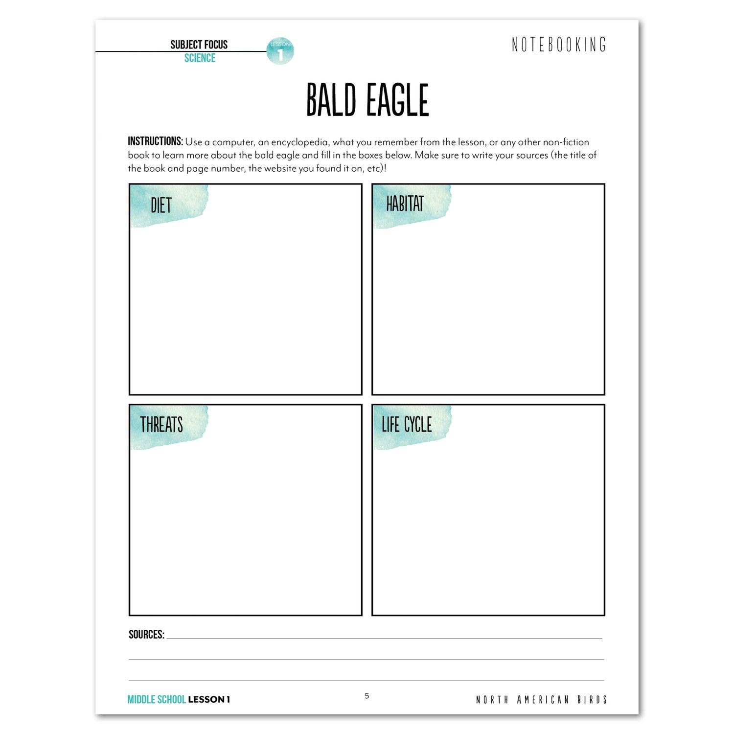 North America Birds part 1 homeschool unit study student workbook middle school lesson one