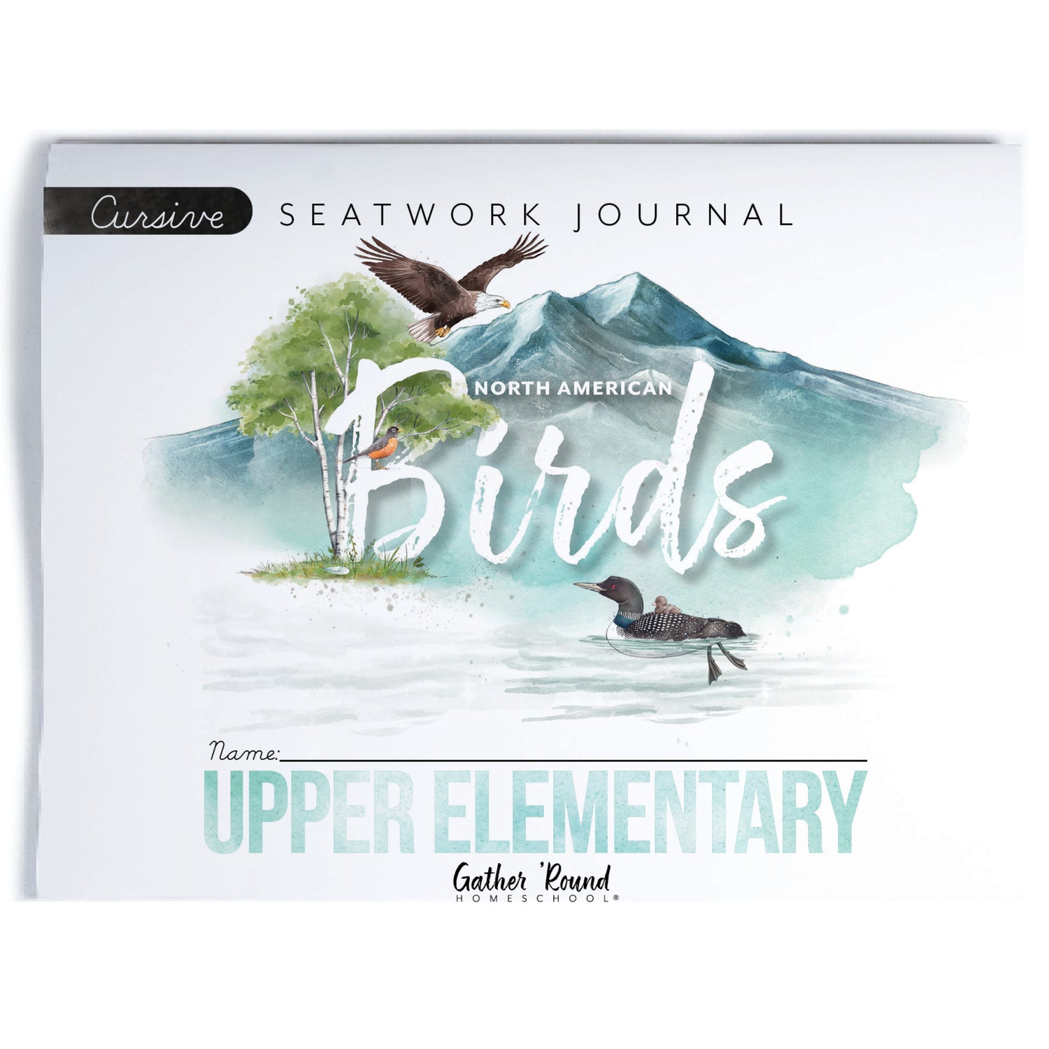 North American Birds part two homeschool unit study print student seatwork journal in cursive for upper elementary