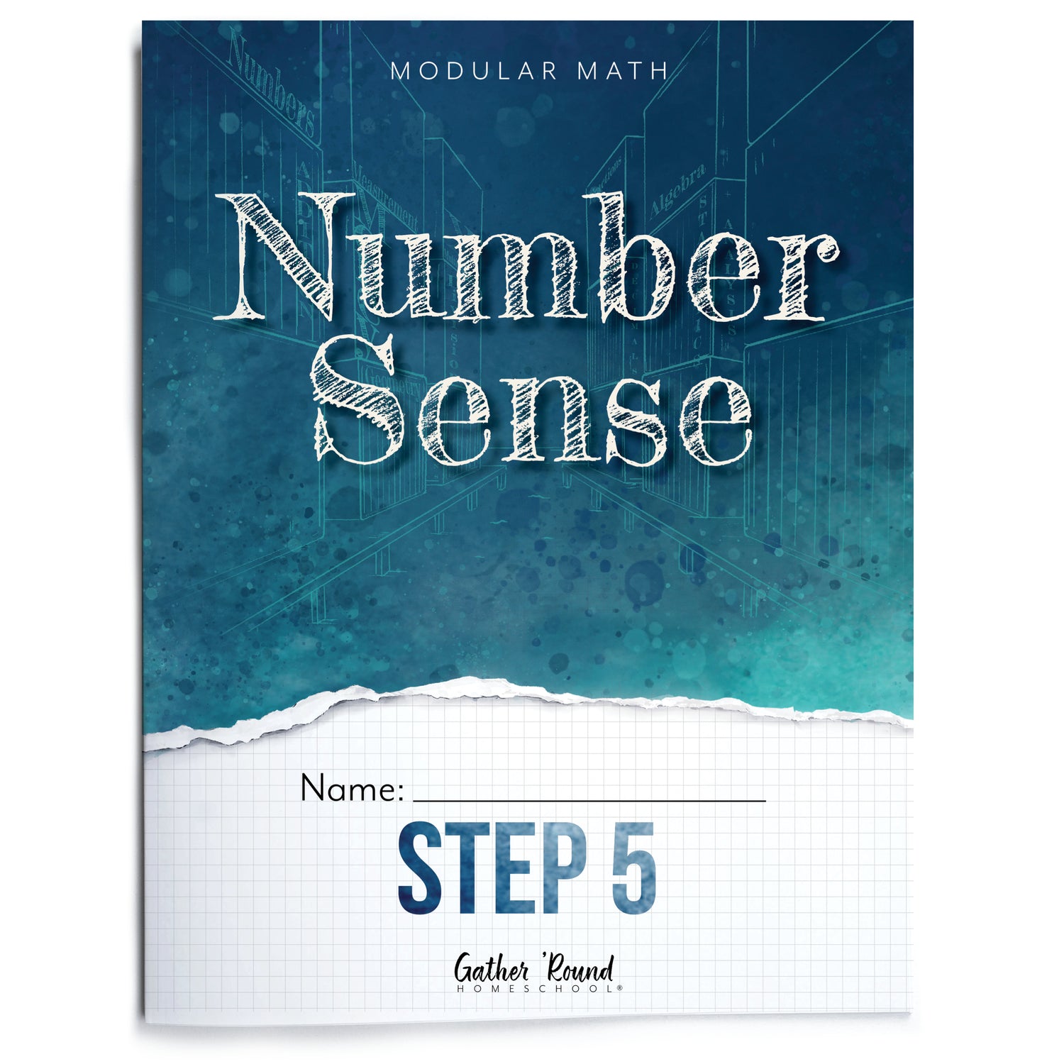 Number Sense Modular Math Step 5 printed book