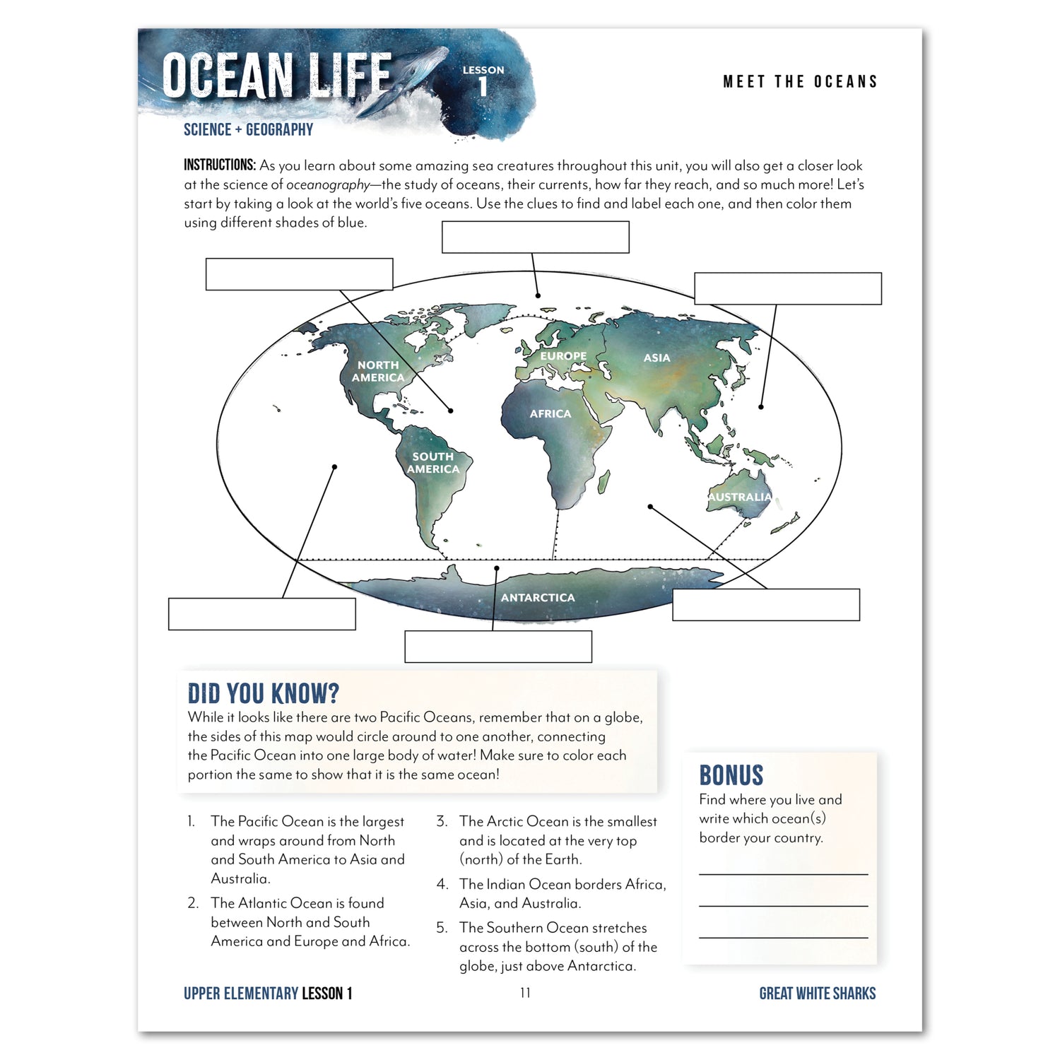 Ocean Life homeschool unit study print student workbook in upper elemenary meet the oceans worksheet