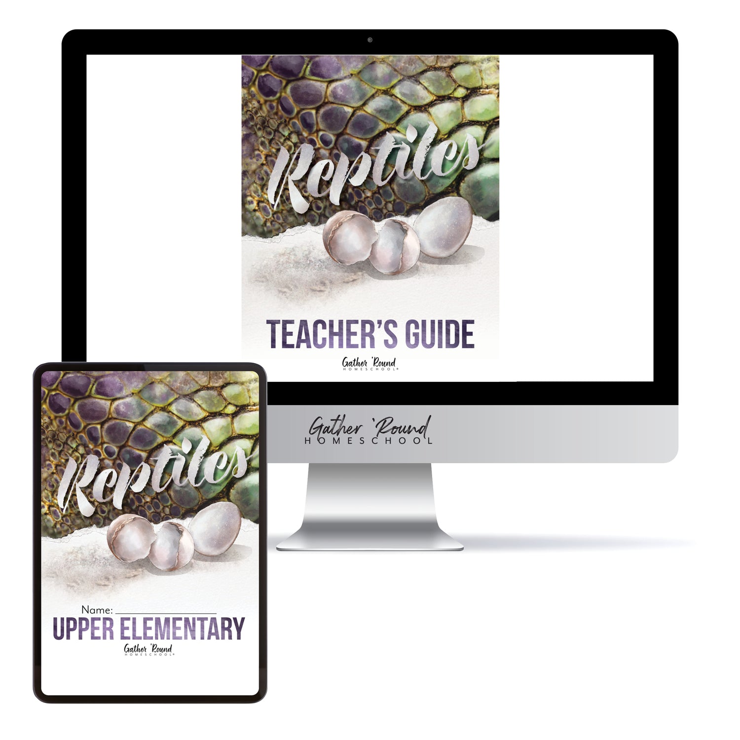 Reptiles homeschool unit study digital student workbook Upper Elementary and Teacher's Guide bundle
