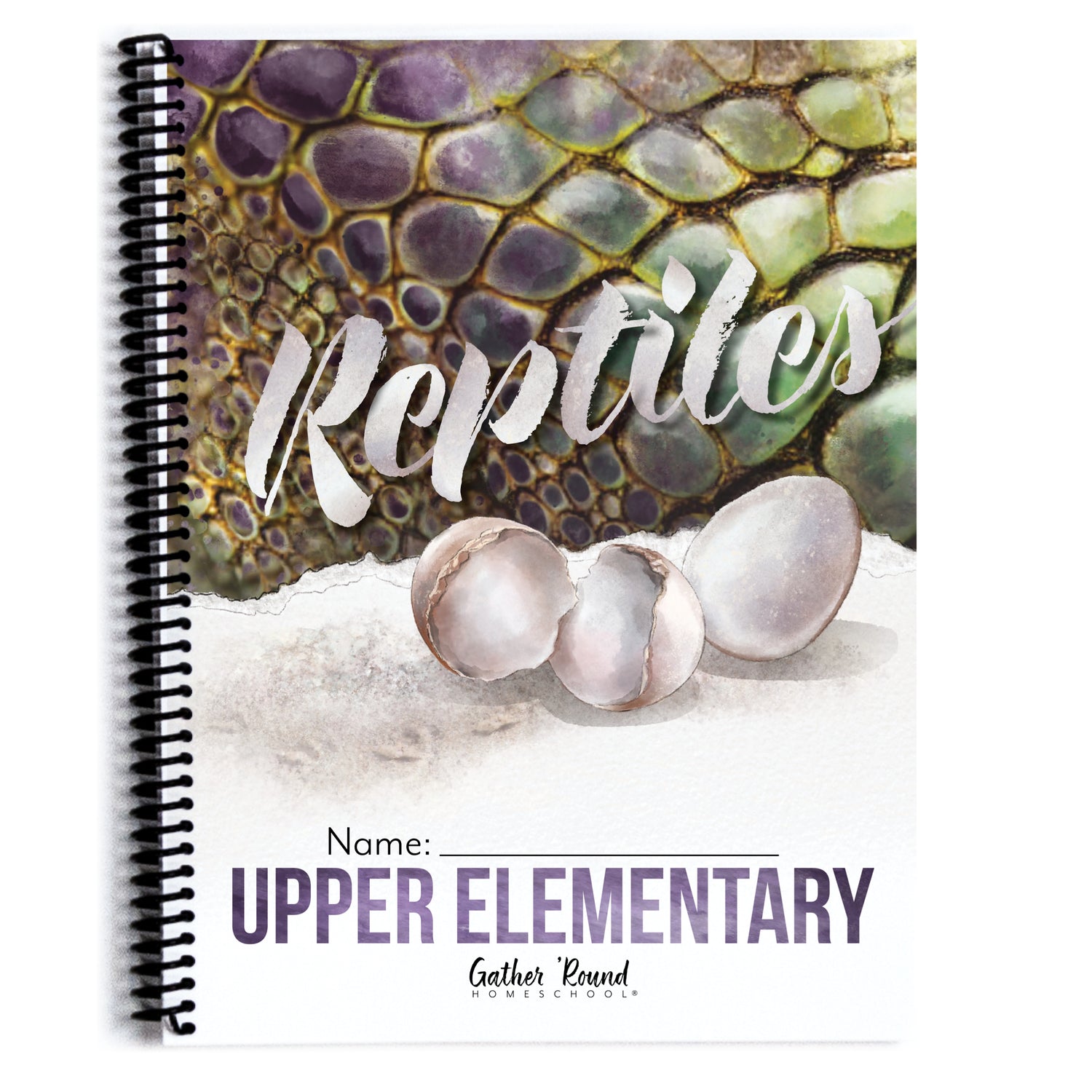 Reptiles homeschool unit study printed student workbook Upper Elementary