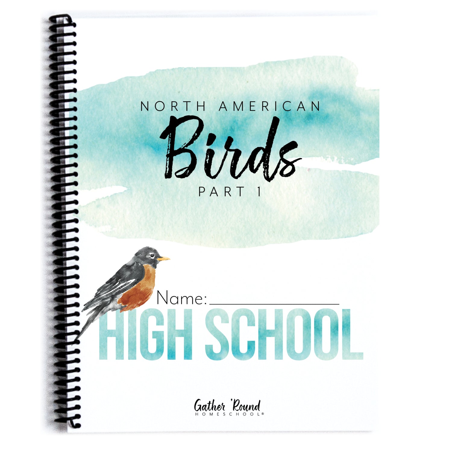 North America Birds part 1 homeschool unit study student workbook high school