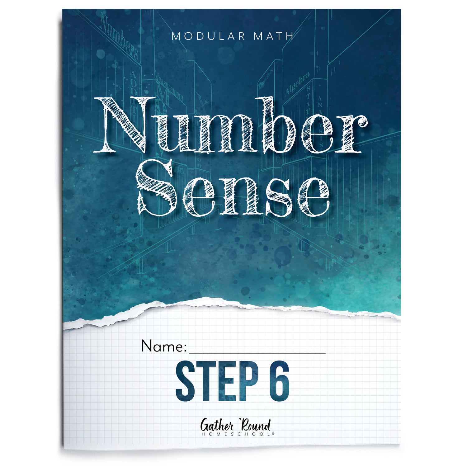 Number Sense Modular Math Step 6 printed book