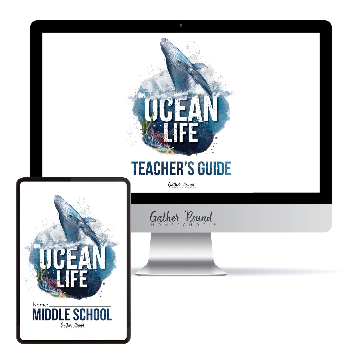 Ocean Life homeschool unit study digital student workbook for middle school with teacher's guide bundle