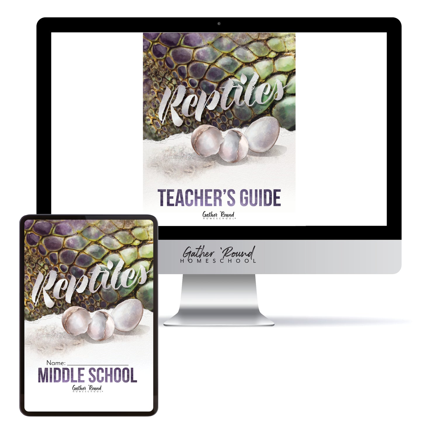 Reptiles homeschool unit study digital student workbook Middle School and Teacher's Guide bundle
