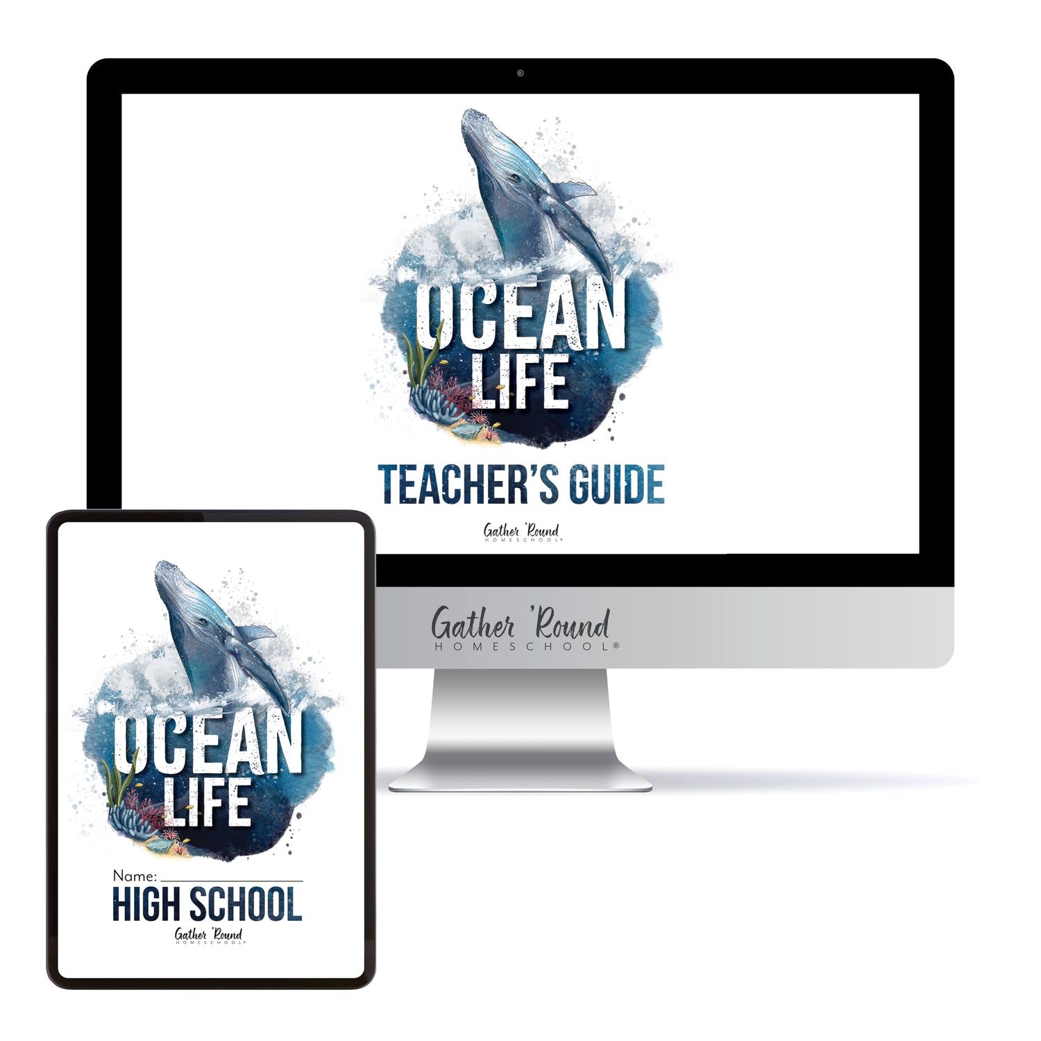 Ocean Life homeschool unit study digital student workbook for high school with teacher's guide bundle