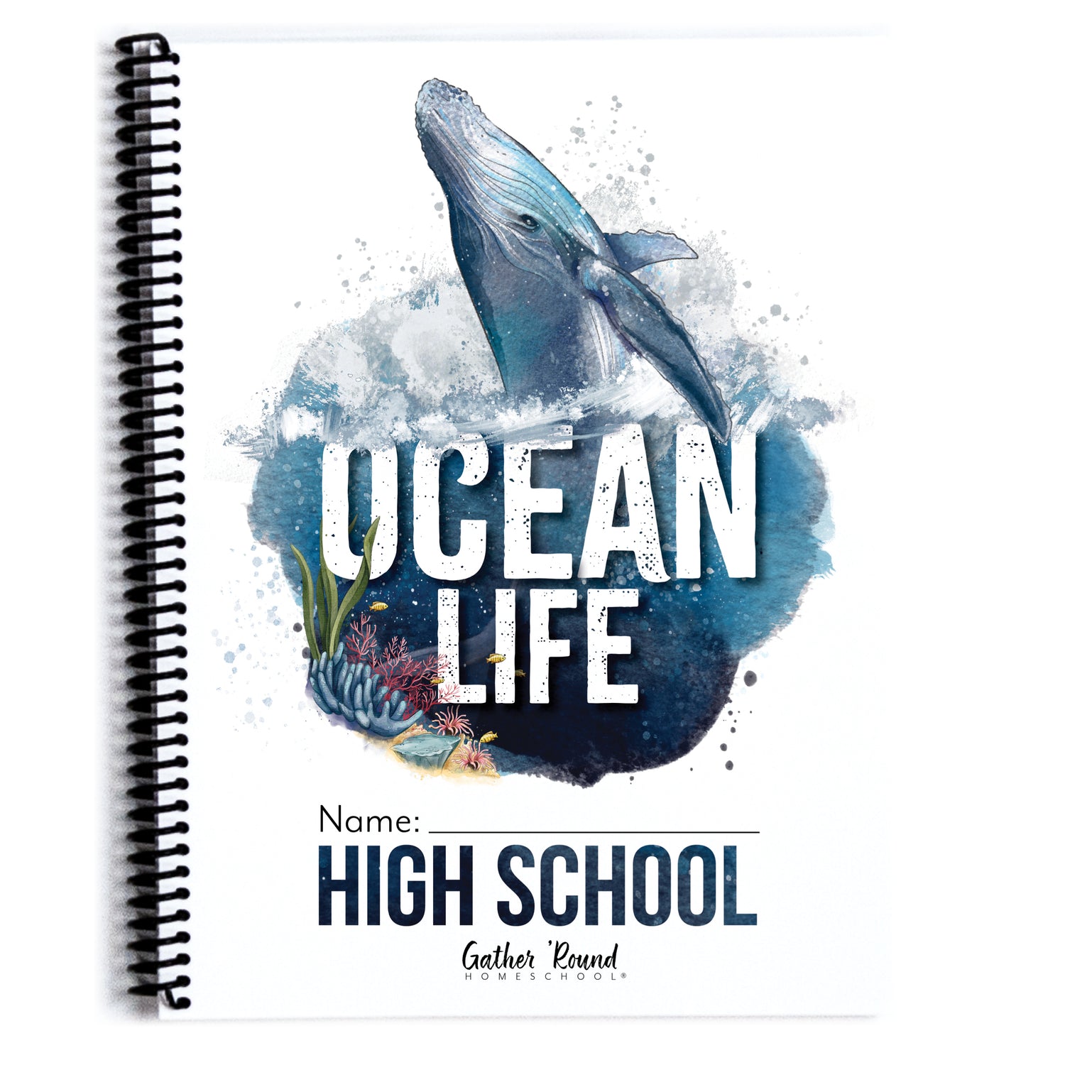 Ocean Life homeschool unit study print student workbook in high school