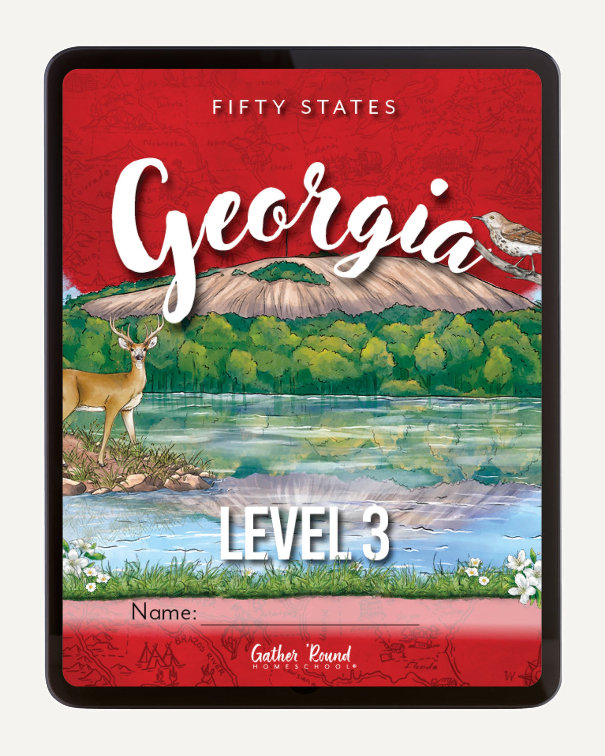 Georgia Fifty States Unit Digital Level 3 Cover