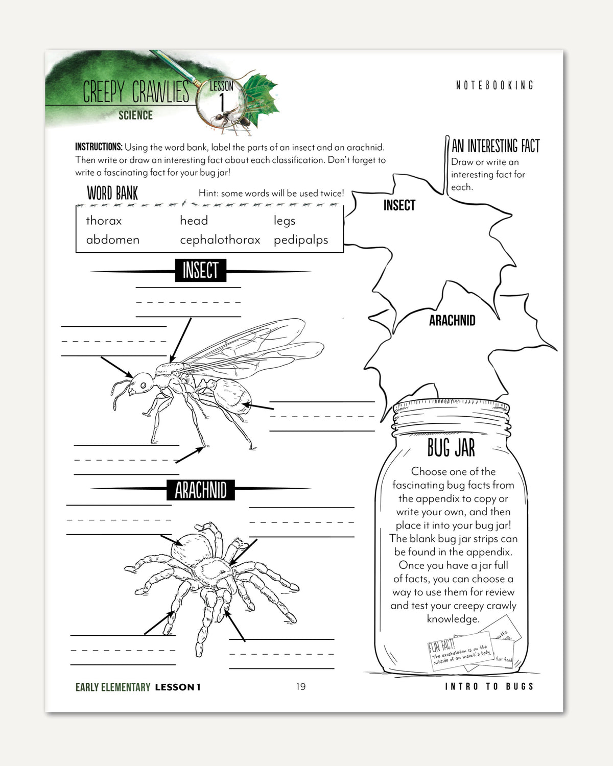 Creepy Crawlies Homeschool Unit Study Digital Early Elementary Student Book Lesson 1 Notebooking