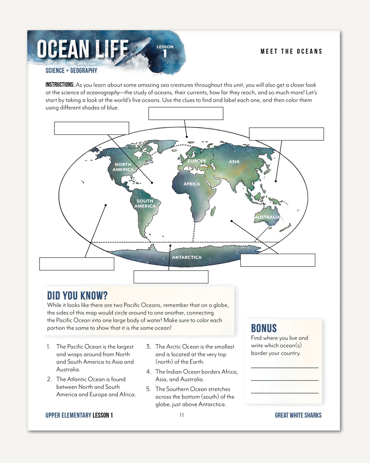Ocean Life homeschool unit study digital student workbook for upper elementary with teacher's guide bundle meet the oceans