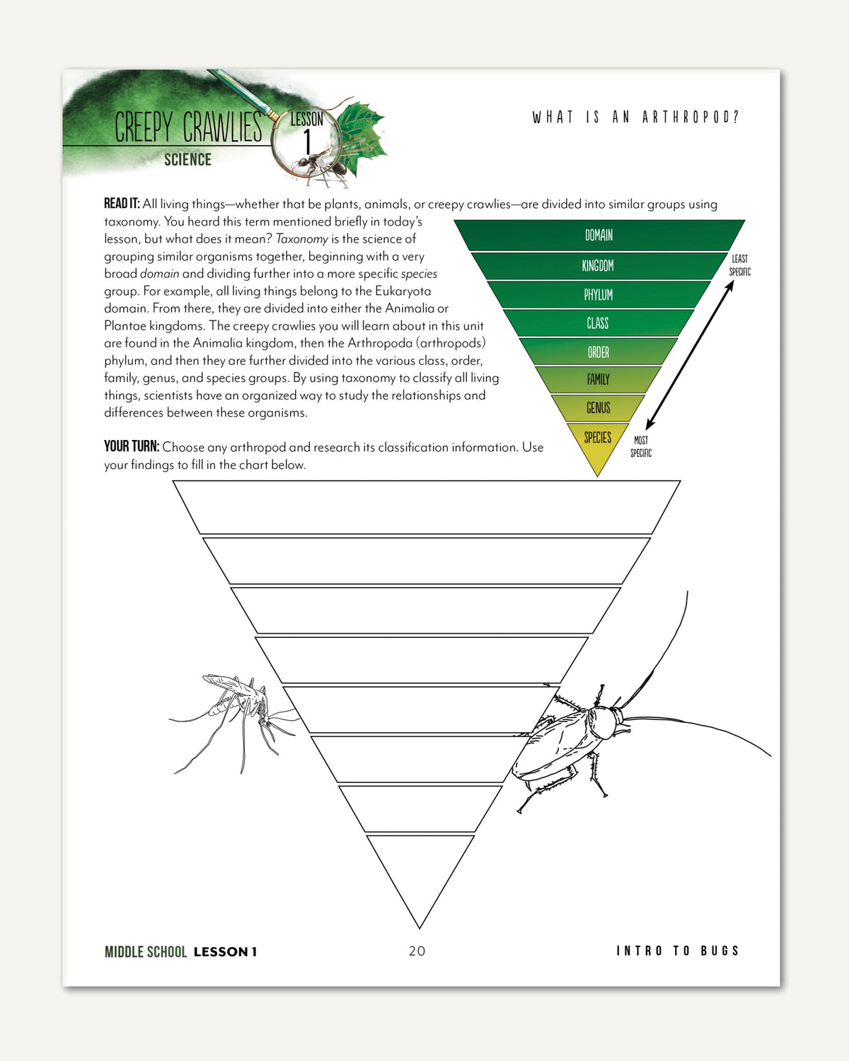 Creepy Crawlies Homeschool Unit Study Digital Middle School Student Book Lesson 1 What in an anthropod?