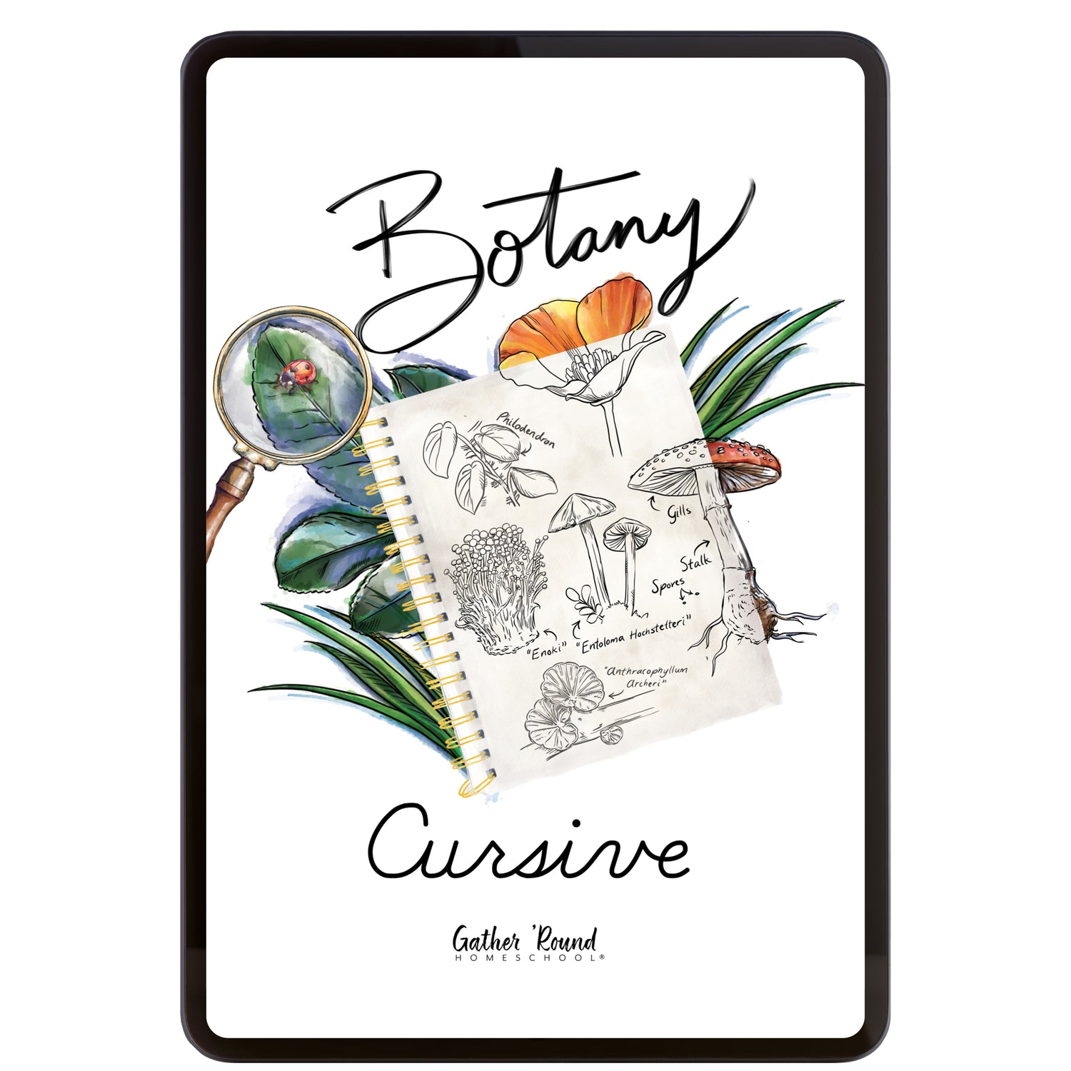 Botany Homeschool Unit Study Digital Cursive Book