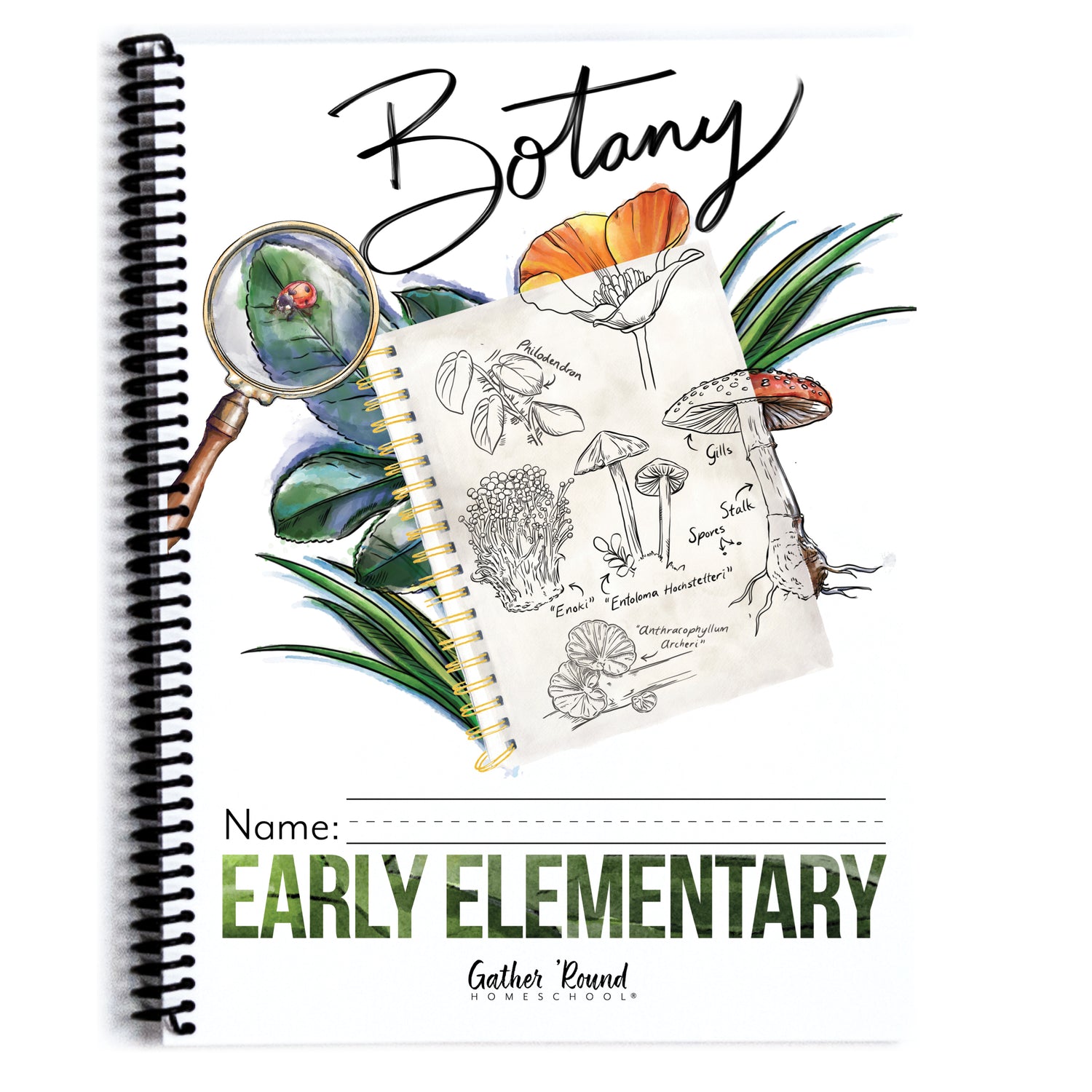 Botany Homeschool Unit Study Printed Early Elementary Student Book