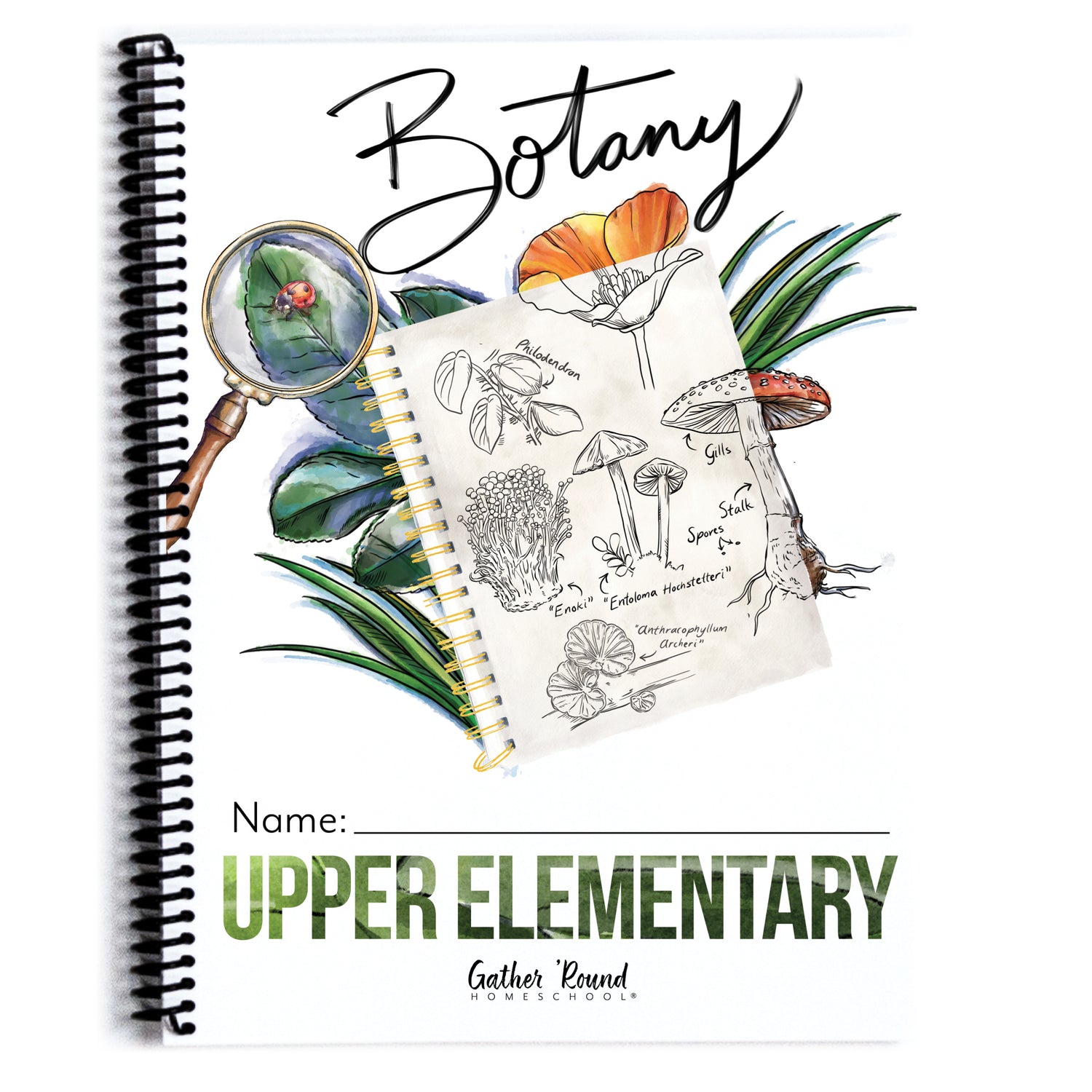Botany Homeschool Unit Study Printed Upper Elementary Student Book