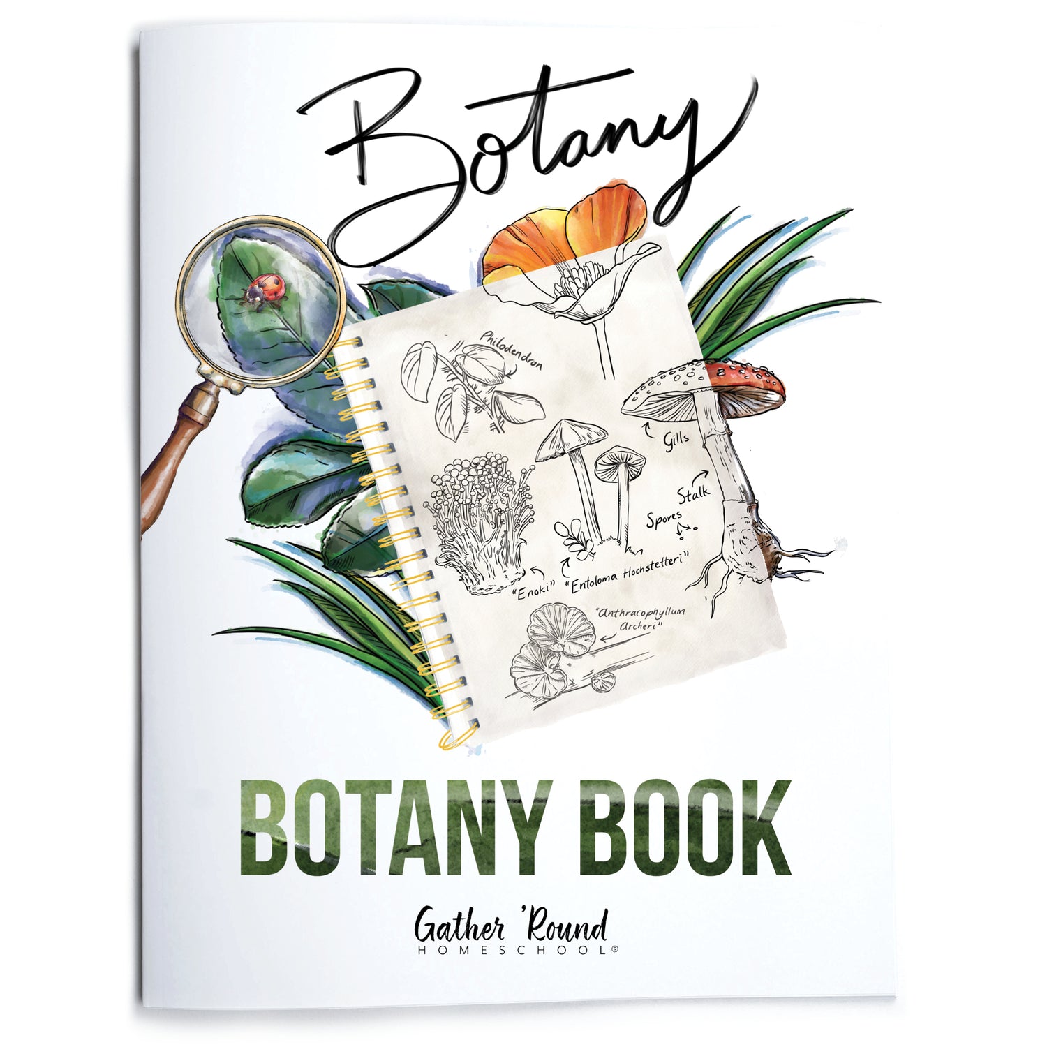 Botany Homeschool Unit Study Printed Botany Book
