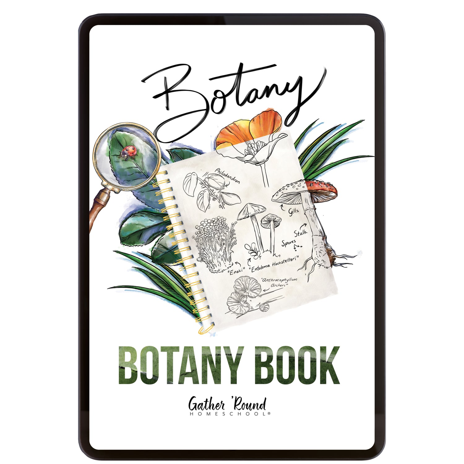 Botany Homeschool Unit Study Digital Botany Book