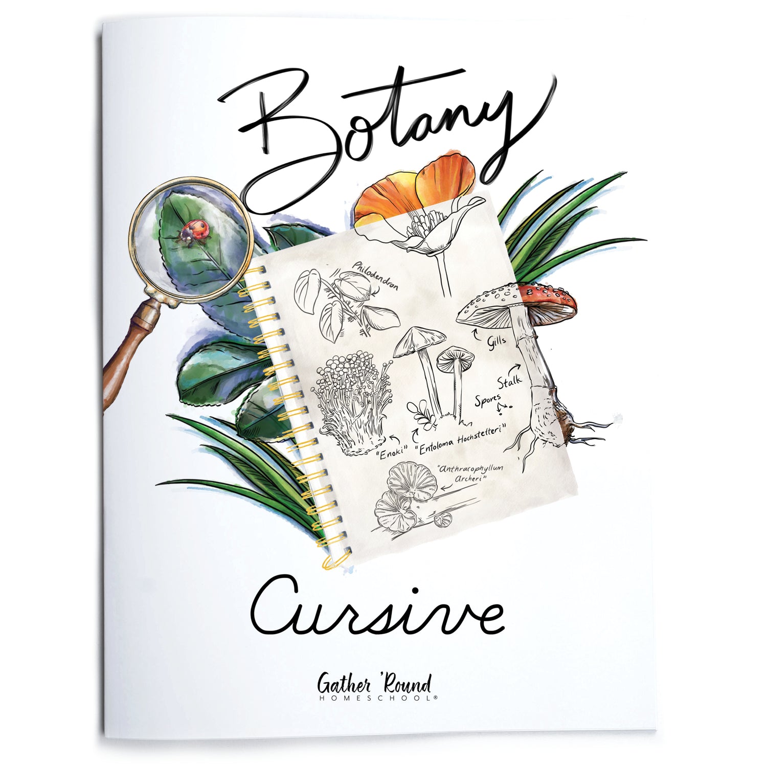 Botany Homeschool Unit Study Printed Cursive Book