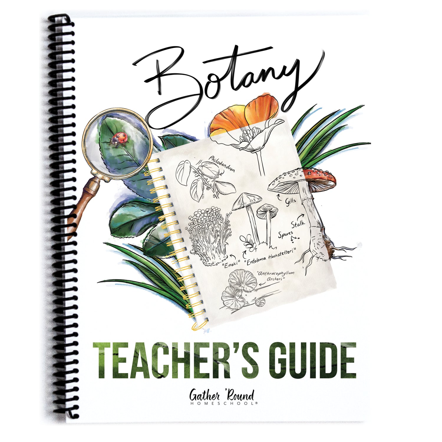 Botany Homeschool Unit Study Printed Teacher's Guide Cover