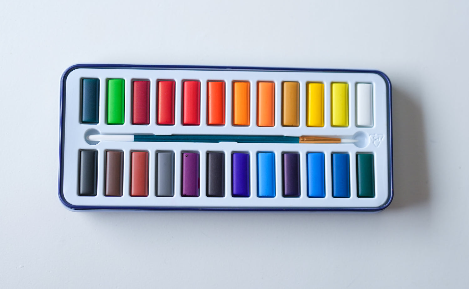 Ocean Life homeschool unit study watercolor kit with paints