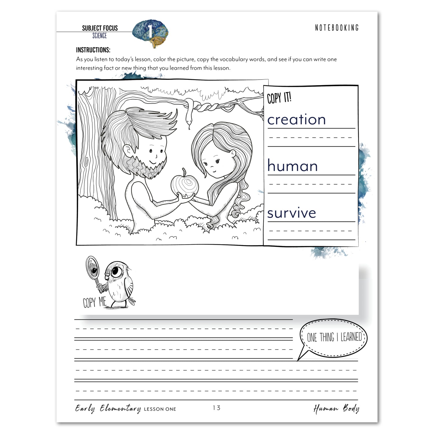 Human Body homeschool unit study printed student workbook in early elementary lesson one