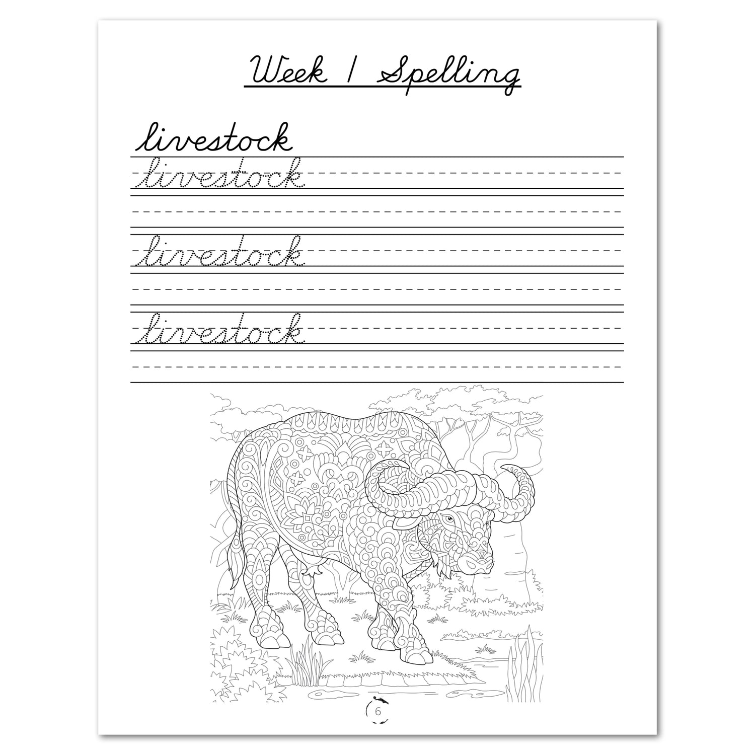 Human Body homeschool unit study digital student workbook in cursive week one spelling