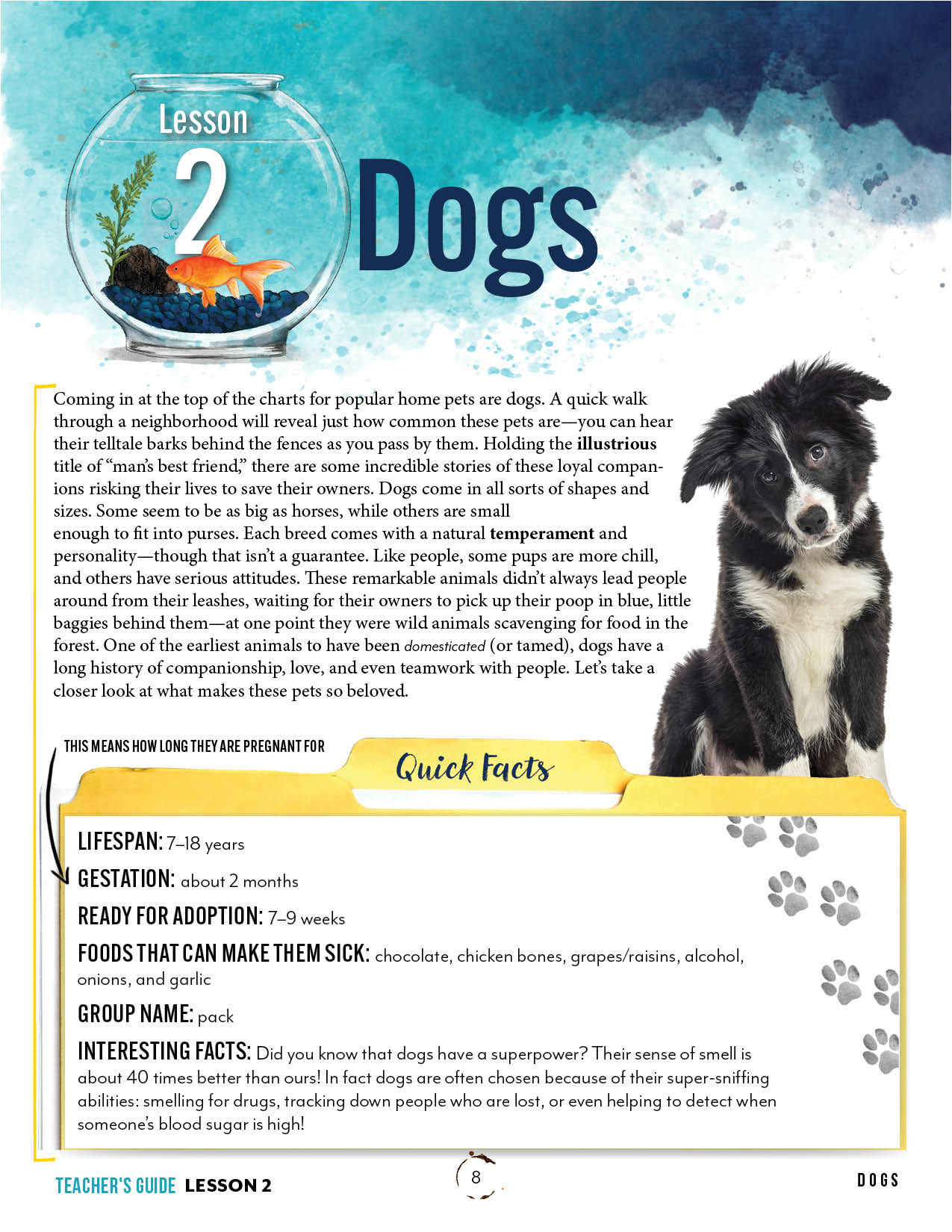 Pets Unit (Printed Books)